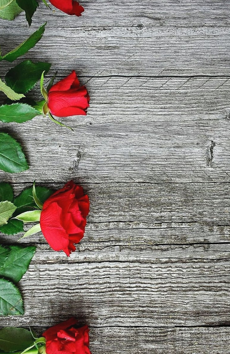 Rote Rosen auf Holz