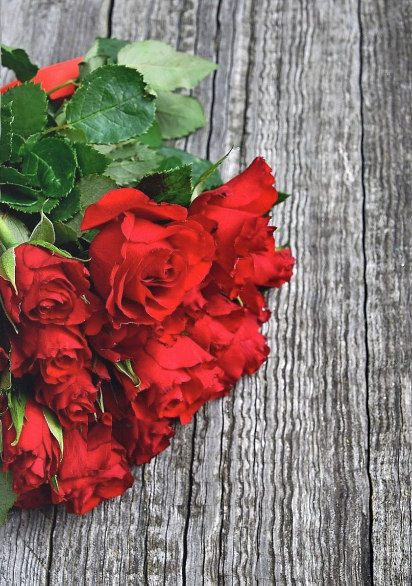 Strauß roter Rosen auf grauem Holz